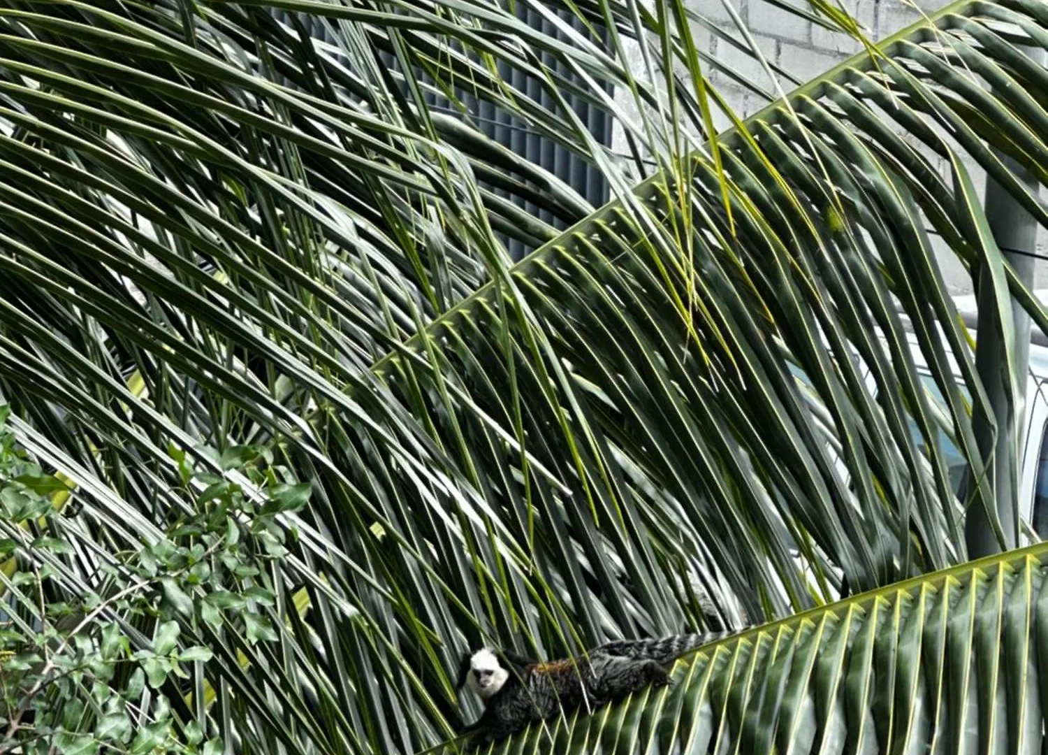 Pousada E Hostel Costa Do Sol Coroa Vermelha Porto Seguro Konukevi
